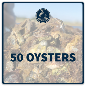 50 Oysters